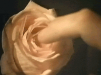 女性自慰与性生活哪个更爽？女性如何安全舒适自慰