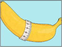 丁丁要有多粗才能算正常？