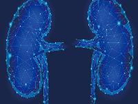 患有梅毒之后都会有什么症状