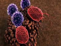 梅毒的传播途径包括母婴传播吗？梅毒的预防措施有哪些