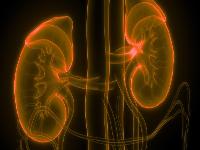 怎么判断是阴虚还是阳虚 肾阳虚吃什么药好