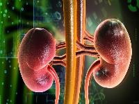 飞机打多了是肾阴虚吗 肾虚的表现症状有哪些