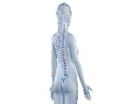 梅毒二期的症状表现有哪些 浅析梅毒二期的四个表现