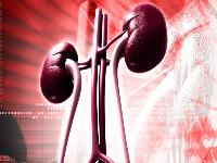 男人早泄如何调理？推荐5款壮阳补肾中药方