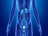 中医治疗阳痿都有什么好方法？哪些中药治疗阳痿效果好？