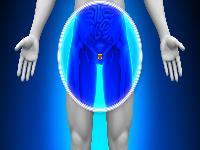 早泄阳痿可以吃什么药？出现阳痿早泄可以服用海狗丸吗?