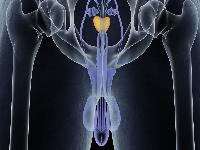 引起早泄的原因有哪些？包茎对性生活有什么危害？