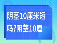 阴茎10厘米短吗?阴茎10厘米是不是没感觉?