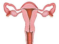 宫颈糜烂怎么办？吃什么药效果最好？