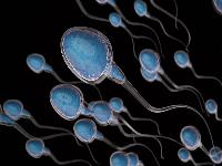 前列腺增生的早期症状是什么？前列腺增生应避免哪些问题？