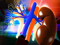 做多了是肾阴虚还是阳虚 肾虚的表现是什么