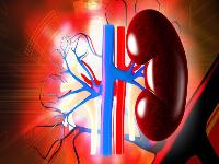 阴虚阳虚自测 肾阴虚的症状是什么