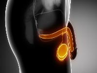 阳痿症状的出现是因为什么？男性患阳痿的病因有哪些？