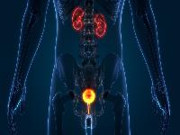 治疗生殖器疱疹要注意什么？生殖器疱疹治疗期间如何饮食？