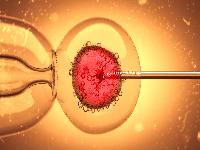 早期阳痿怎么治疗才能好？阳痿患者越补越虚的原因是什么？