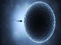 男性精液不液化如何解决？精液异常是男性不育的主因吗？