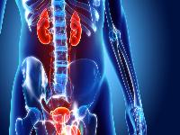 那些食物可以壮阳 补肾壮阳的最佳方法