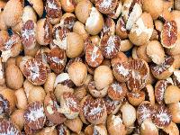 男人壮阳方法有哪些 五大食物必不可少