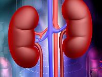 如何分辨肾阴虚还是肾阳虚 男人举而不坚是阴虚还是阳虚