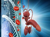 器质性阳痿的特点是什么？如何治疗器质性阳萎?