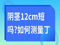 阴茎12cm短吗?如何测量丁丁长度