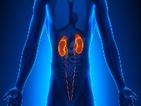 壮阳的食物和水果都有哪些 多吃这几种食物可以补肾壮阳