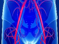 女性阴道高潮怎么获得？女性阴道高潮的几个穴位