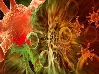 性接触会传播性病吗？如何有效预防性病传播？