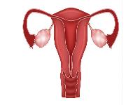 宫颈糜烂如何用药和治疗