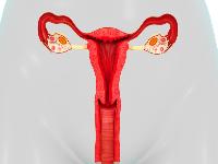 治疗宫颈糜烂可以采用民间偏方吗