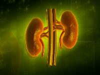 百年不朽的壮阳健肾锻炼法推荐