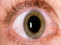 怎样用手按压干眼症