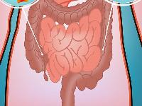 直肠癌化疗21天一般吃什么