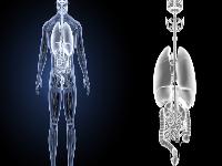 血液净化可以治疗类风湿吗