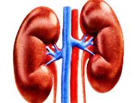 肾结石连续痛几天怎么回事