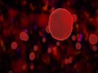 白血病血小板升高是好状况