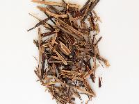 2型糖尿病性坏疽的中医辨证治疗