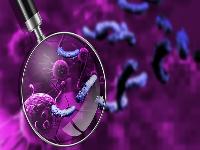 管状腺瘤恶变就是肠癌吗